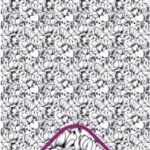 designs-mr03-lona-min